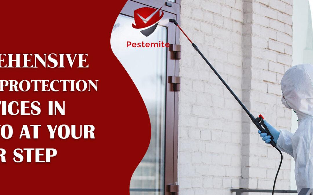 Comprehensive Termites Protection Services in Toronto at Your Door Step  