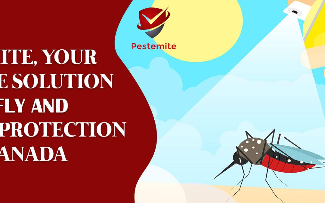 Your Ultimate Solution for Fly and Mosquito Protection in Canada